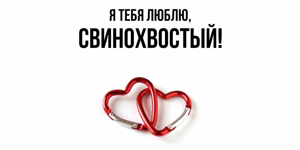 Открытка  для любимых и родных. свинохвостый, Я тебя люблю  