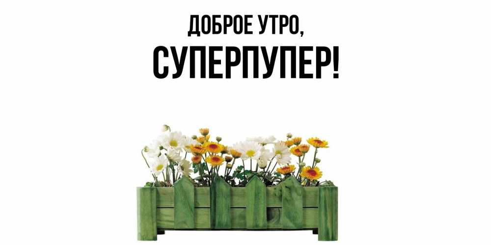 Открытка  для любимых и родных. суперпупер, Доброе утро  