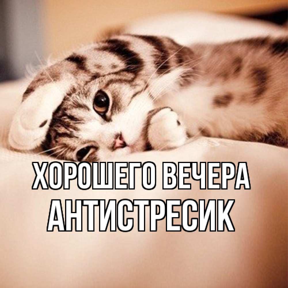 Открытка  для любимых и родных. антистресик, Хорошего вечера  