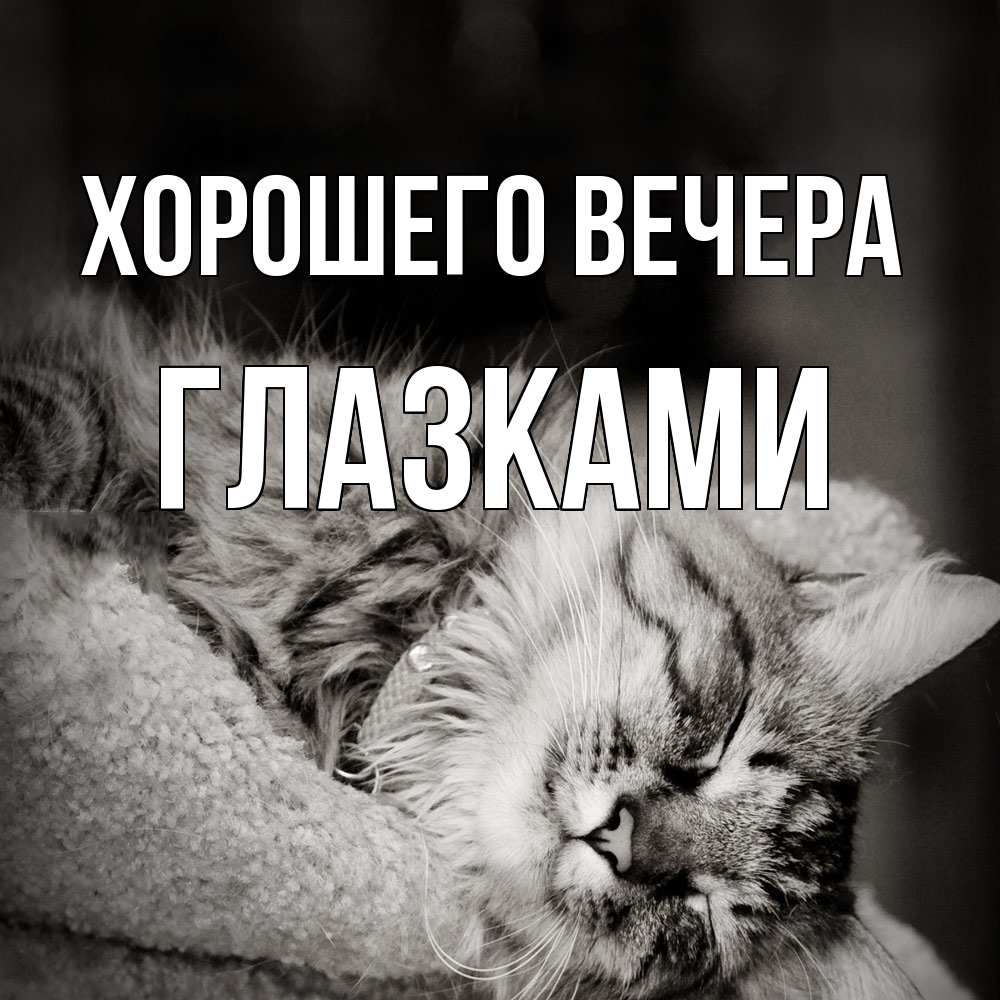 Открытка  для любимых и родных. глазками, Хорошего вечера  