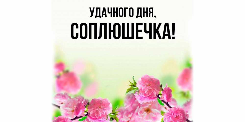 Открытка  для любимых и родных. соплюшечка, Удачного дня  