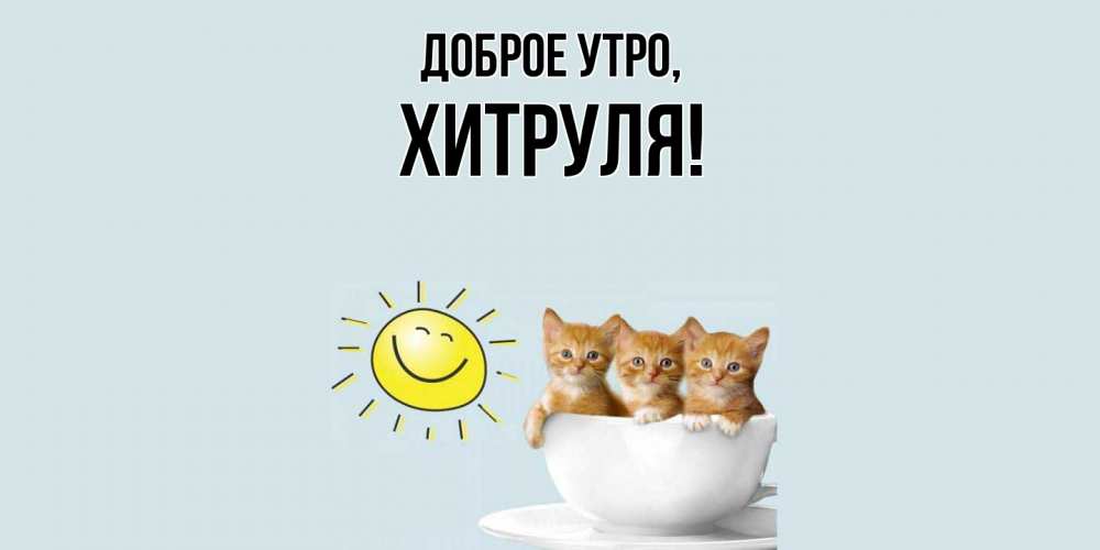 Открытка  для любимых и родных. хитруля, Доброе утро  