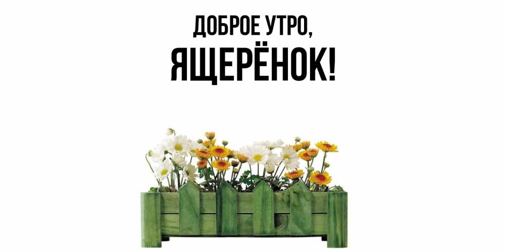 Открытка  для любимых и родных. ящерёнок, Доброе утро  