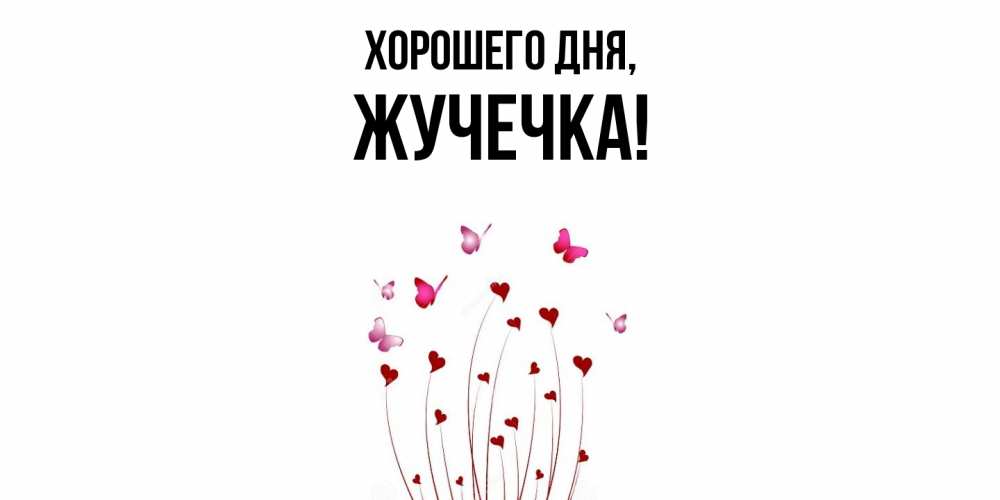 Открытка  для любимых и родных. жучечка, Хорошего дня  