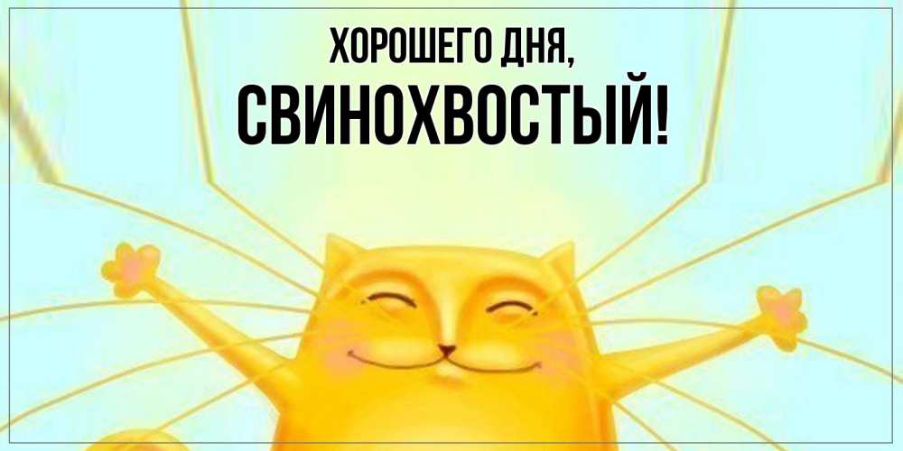 Открытка  для любимых и родных. свинохвостый, Хорошего дня  