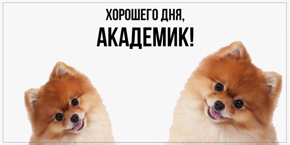 Открытка  для любимых и родных. академик, Хорошего дня  