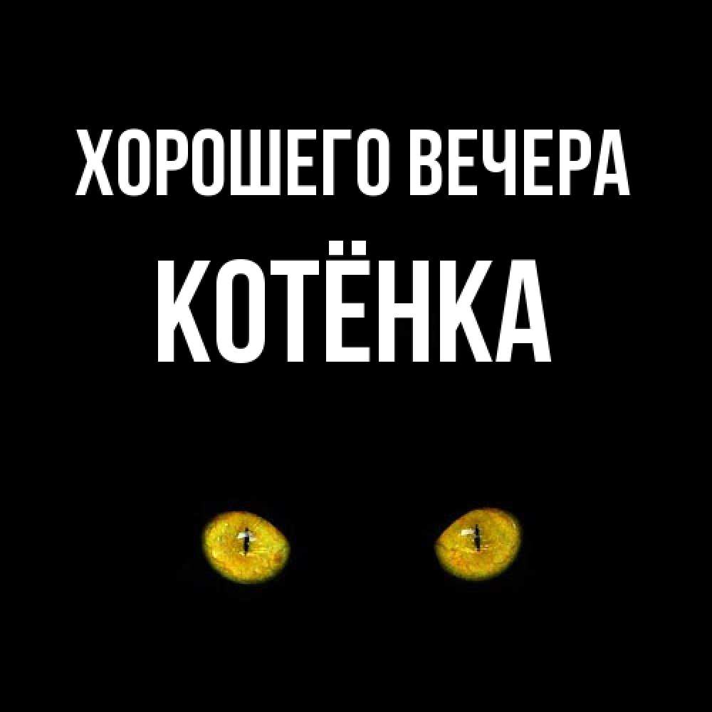 Открытка  для любимых и родных. котёнка, Хорошего вечера  