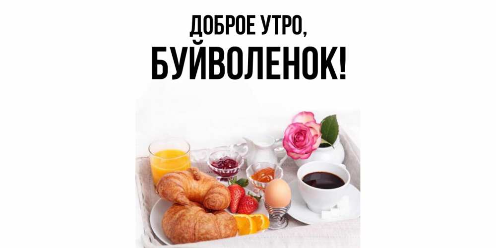 Открытка  для любимых и родных. буйволенок, Доброе утро  