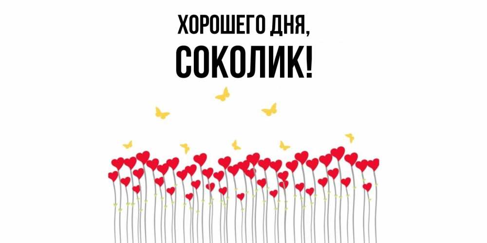 Открытка  для любимых и родных. соколик, Хорошего дня  
