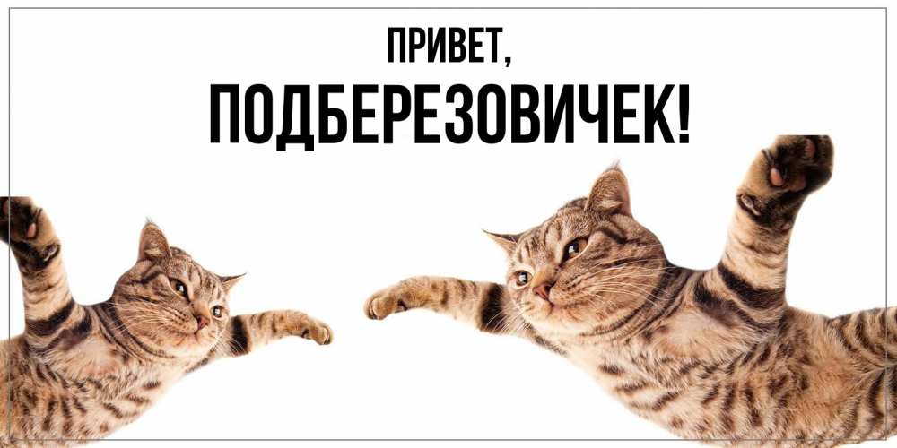 Открытка с именем, подберезовичек, Привет