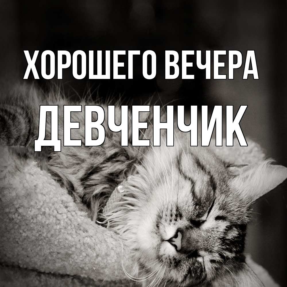 Открытка  для любимых и родных. девченчик, Хорошего вечера  