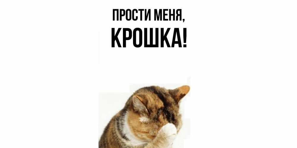 Открытка  для любимых и родных. крошка, Прости меня  