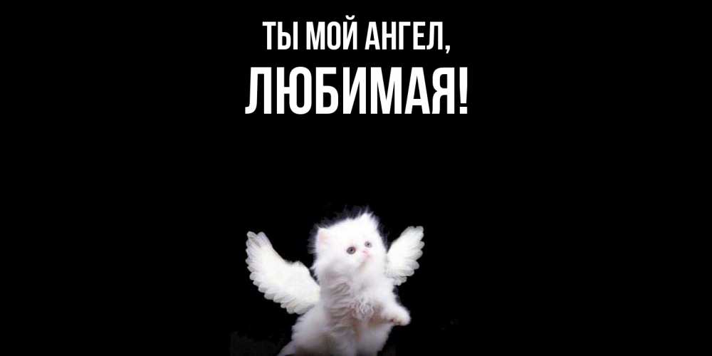 Открытка  для любимых и родных. Любимая, Ты мой ангел  