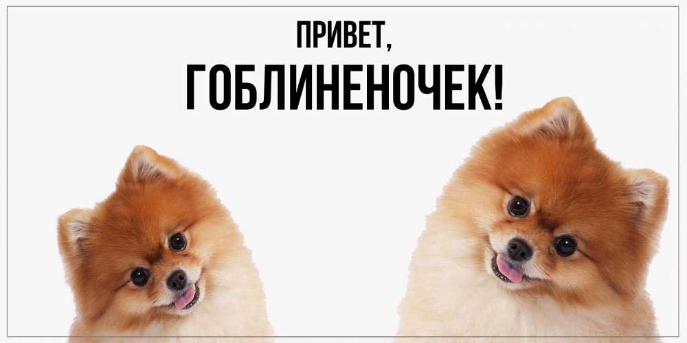 Открытка  для любимых и родных. гоблиненочек, Привет  