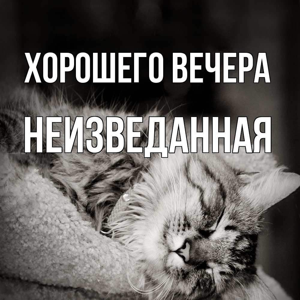 Открытка  для любимых и родных. неизведанная, Хорошего вечера  