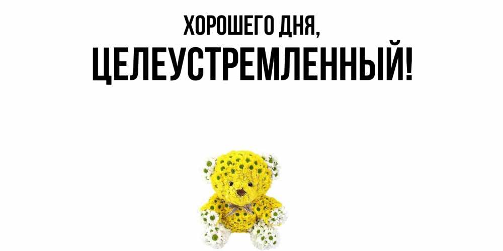 Открытка  для любимых и родных. целеустремленный, Хорошего дня  