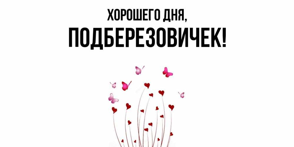 Открытка  для любимых и родных. подберезовичек, Хорошего дня  