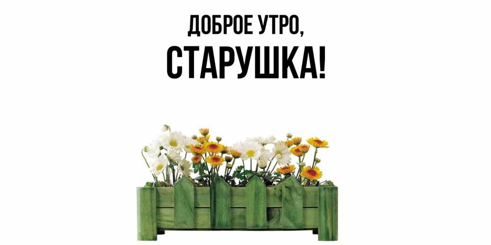 Открытка  для любимых и родных. старушка, Доброе утро  