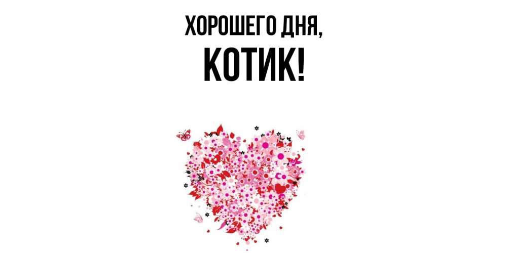 Открытка  для любимых и родных. котик, Хорошего дня  