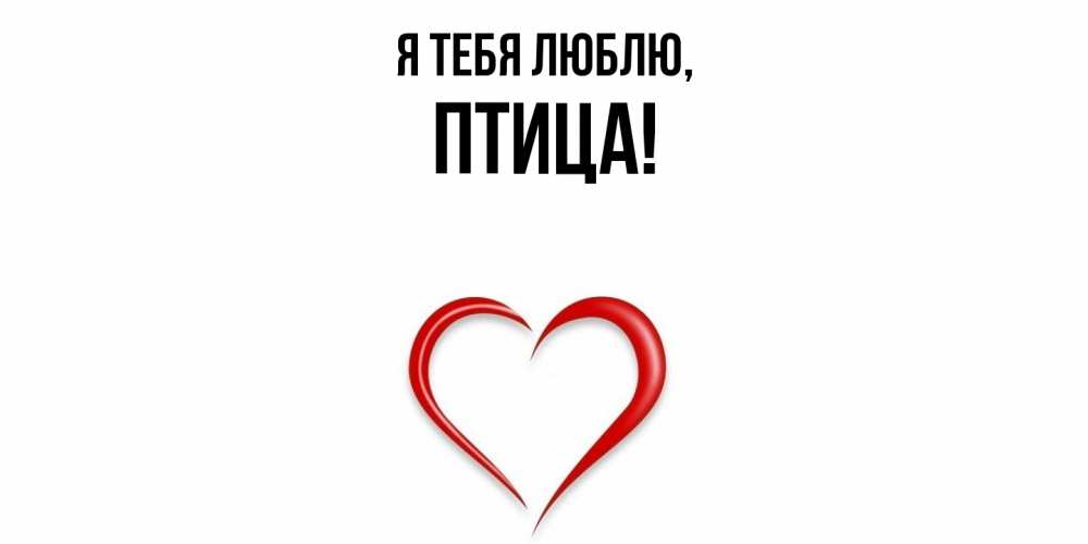 Картинка Я тебя люблю, птица
