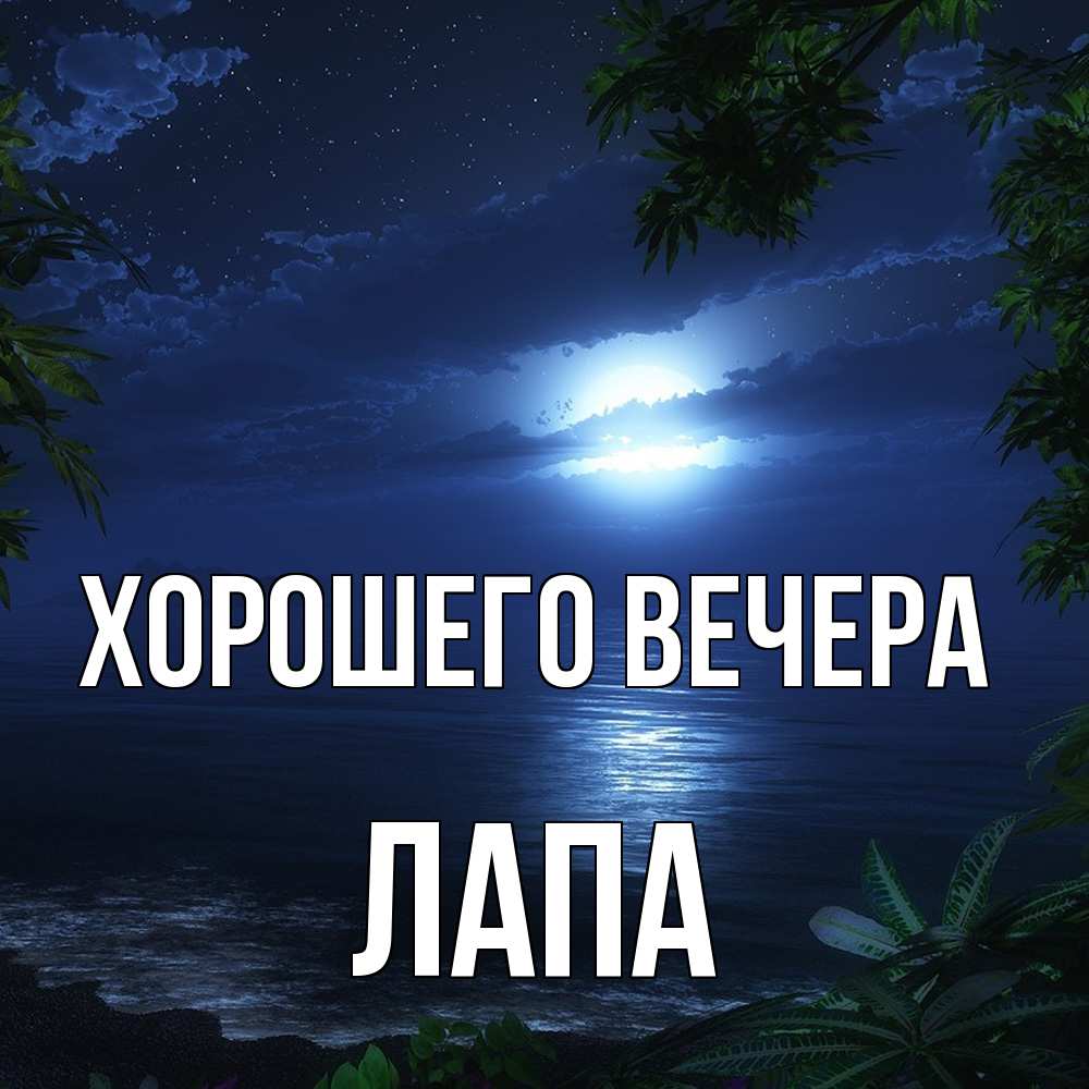 Картинка Хорошего вечера, лапа
