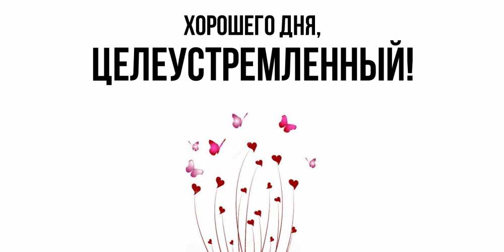 Открытка  для любимых и родных. целеустремленный, Хорошего дня  