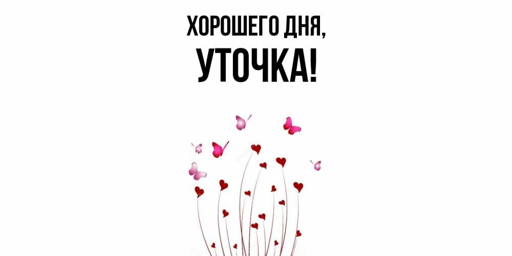 Открытка  для любимых и родных. уточка, Хорошего дня  