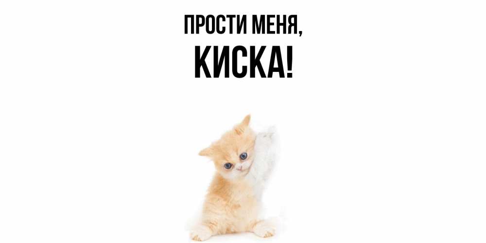 Картинка Прости меня, киска