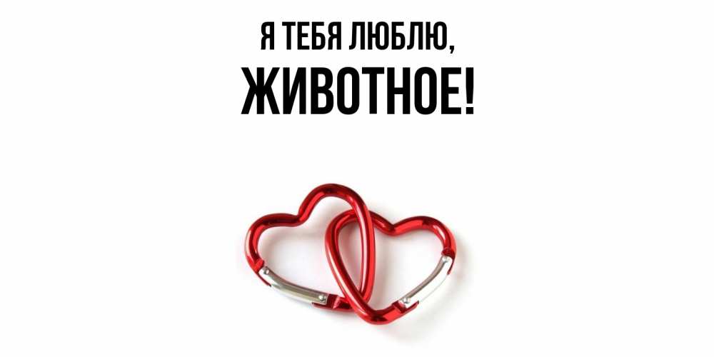 Открытка  для любимых и родных. животное, Я тебя люблю  
