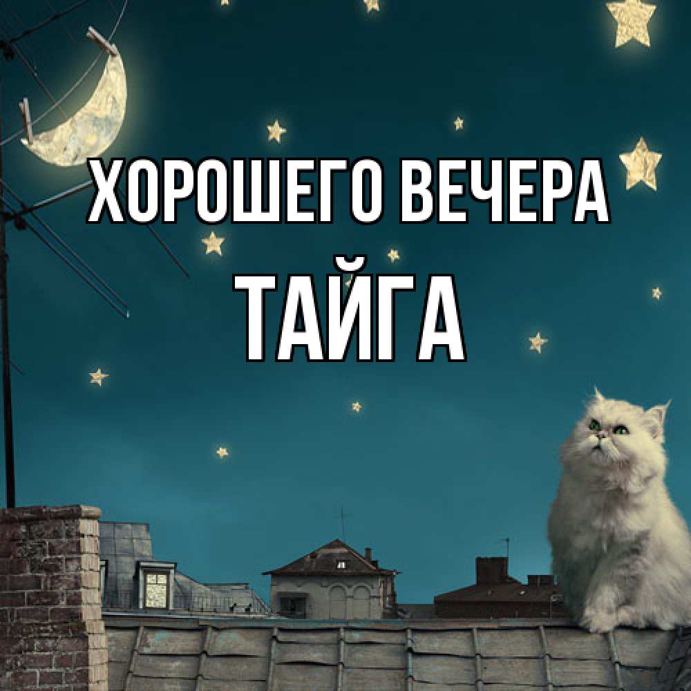 Открытка с именем, тайга, Хорошего вечера