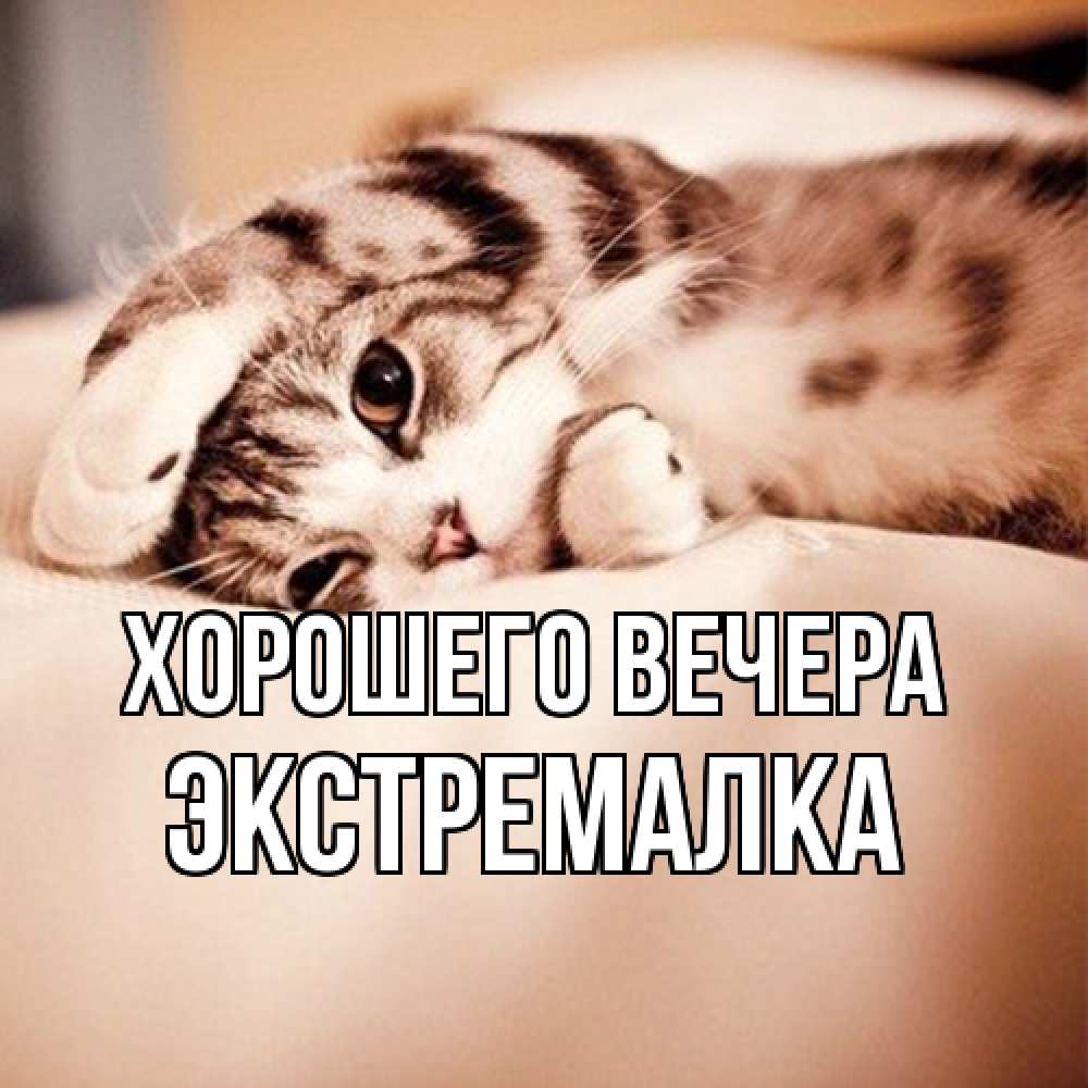 Открытка  для любимых и родных. экстремалка, Хорошего вечера  