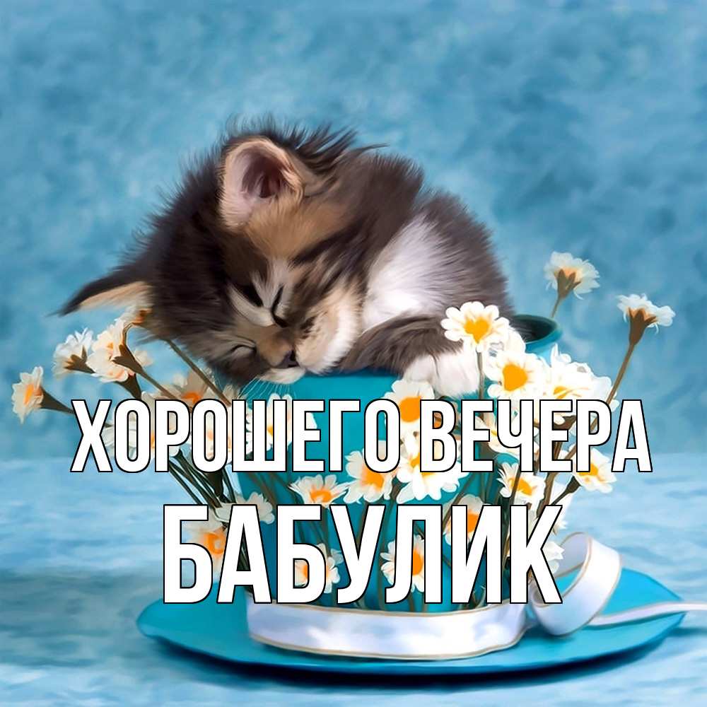 Картинка Хорошего вечера, бабулик