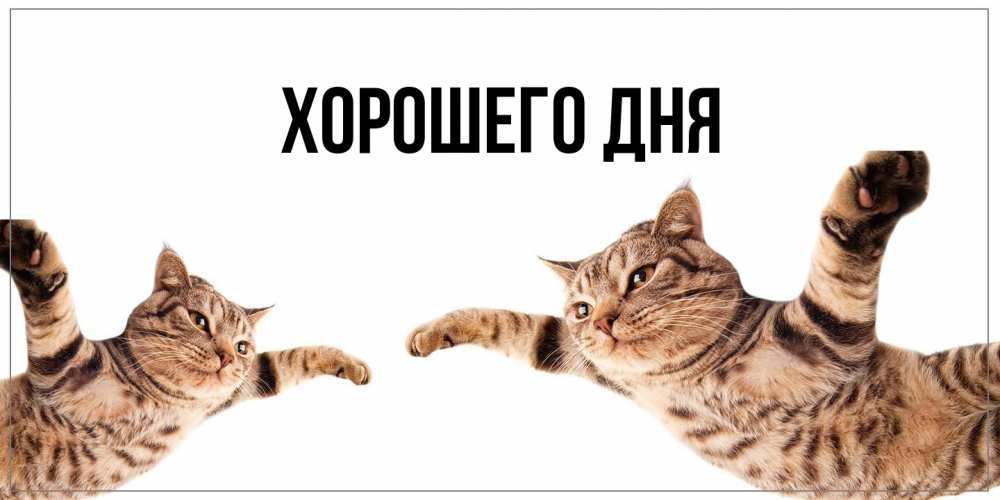 Картинка Хорошего дня, 