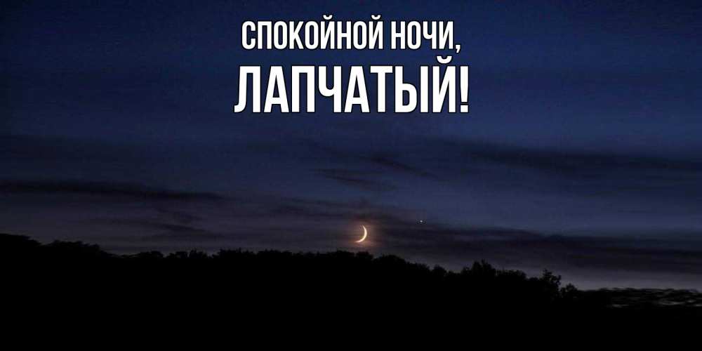Открытка  для любимых и родных. лапчатый, Спокойной ночи  