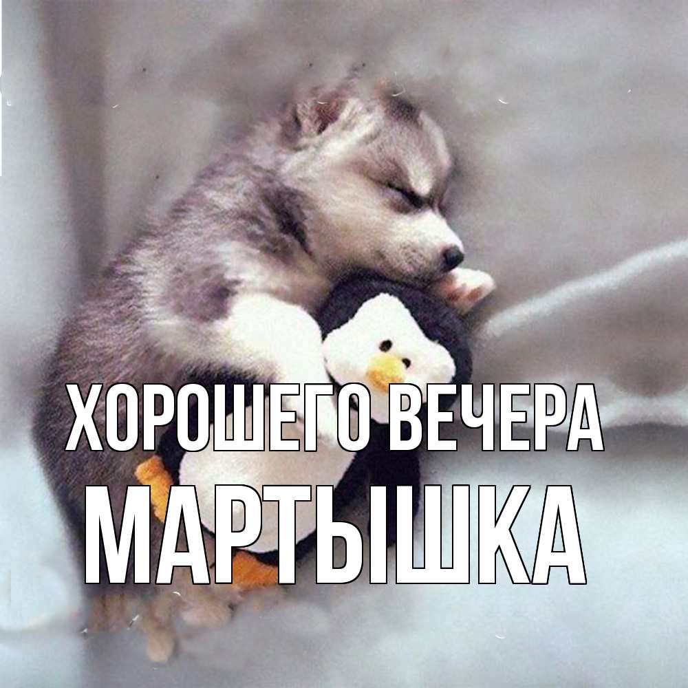 Картинка Хорошего вечера, мартышка