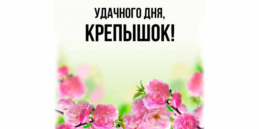 Открытка  для любимых и родных. крепышок, Удачного дня  