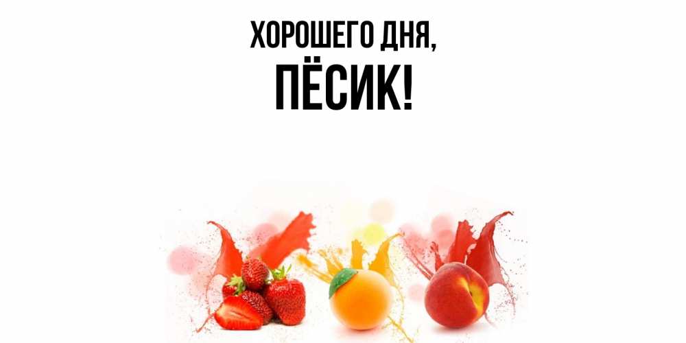 Открытка  для любимых и родных. пёсик, Хорошего дня  