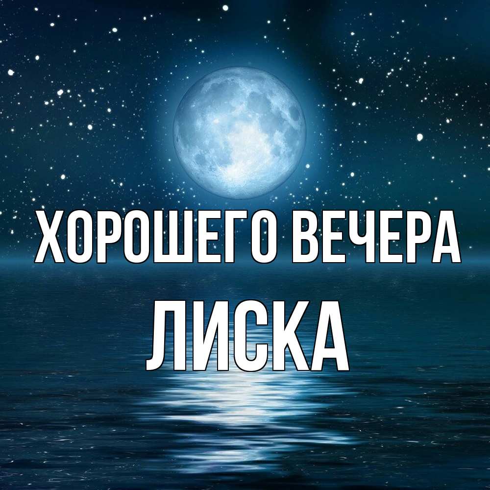 Открытка  для любимых и родных. лиска, Хорошего вечера  