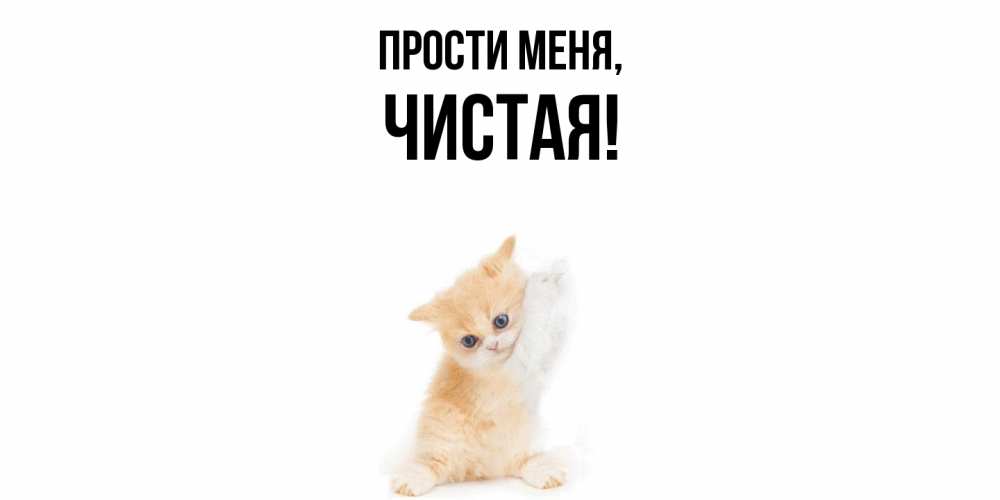 Картинка Прости меня, чистая