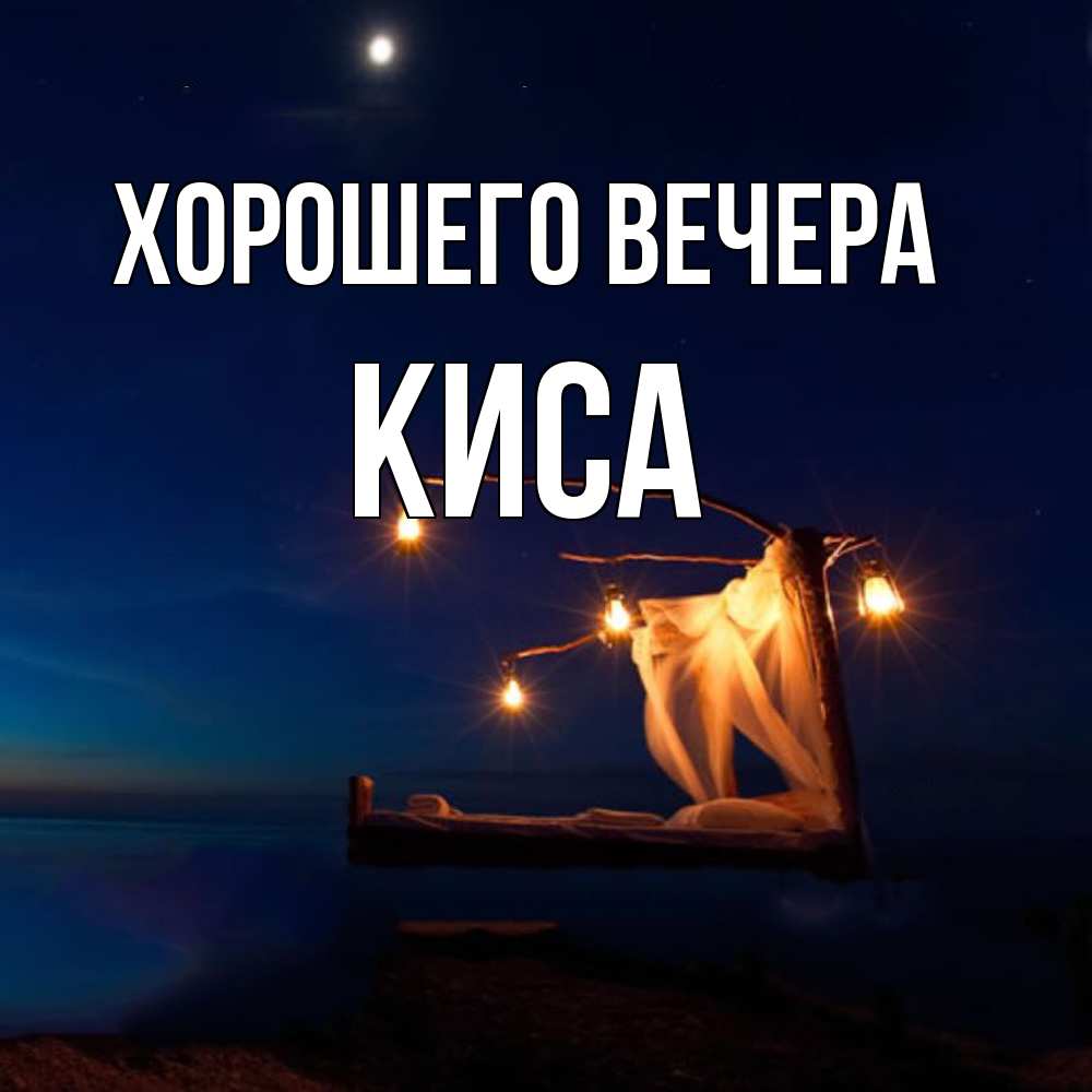 Открытка  для любимых и родных. киса, Хорошего вечера  