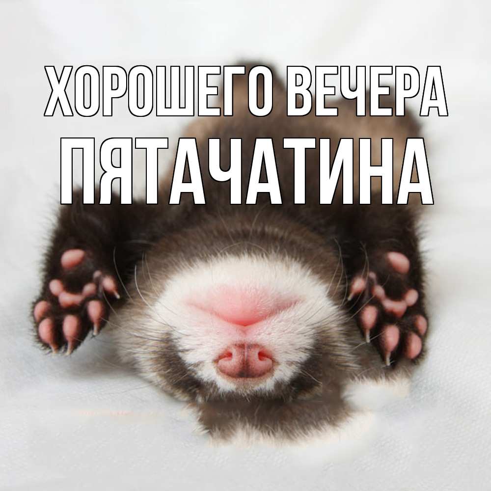 Открытка с именем, пятачатина, Хорошего вечера