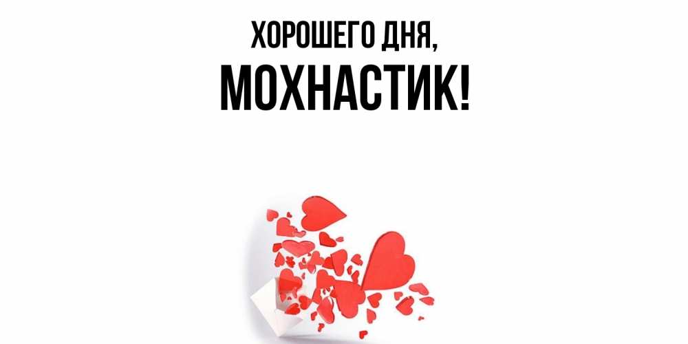 Открытка  для любимых и родных. мохнастик, Хорошего дня  