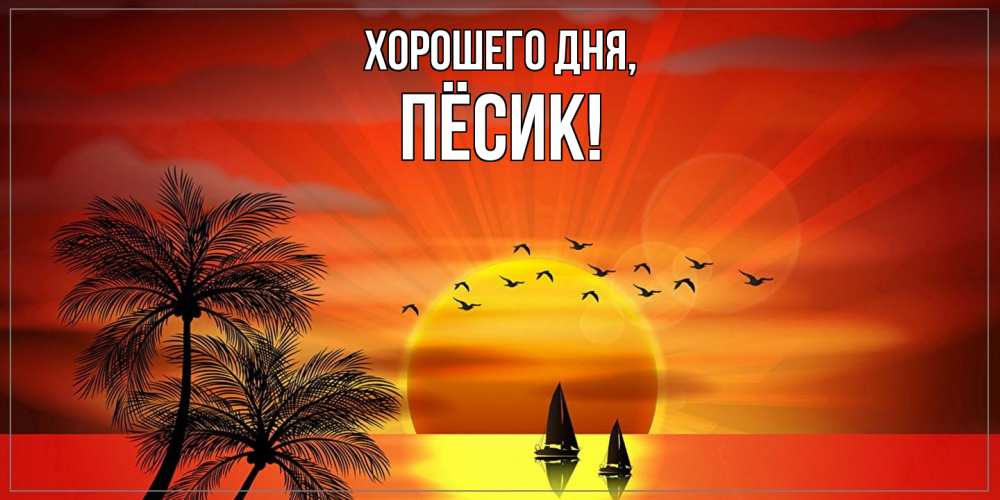 Открытка  для любимых и родных. пёсик, Хорошего дня  