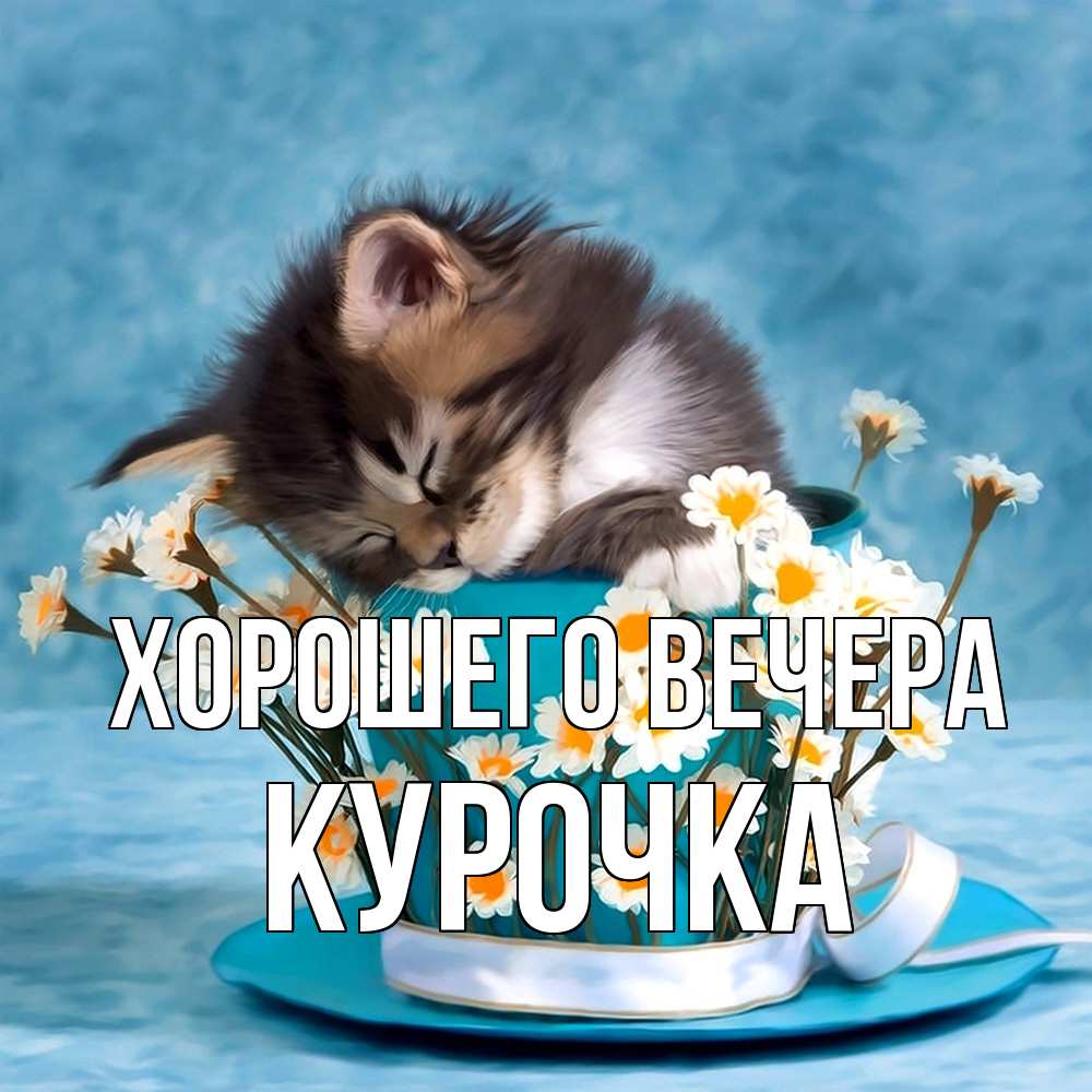 Картинка Хорошего вечера, курочка