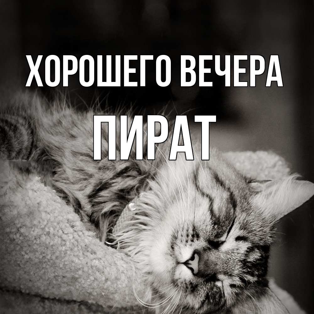 Открытка  для любимых и родных. пират, Хорошего вечера  