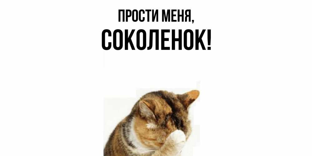 Открытка  для любимых и родных. соколенок, Прости меня  