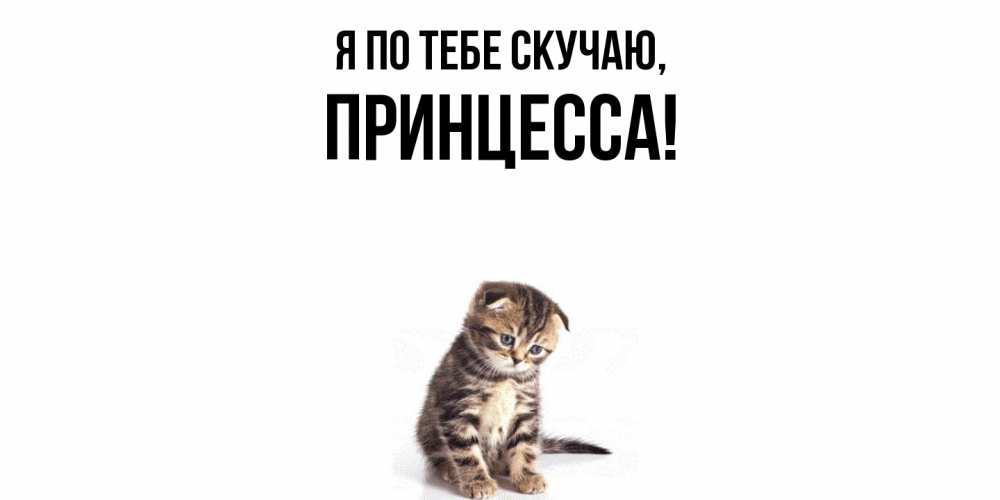 Открытка  для любимых и родных. принцесса, Я по тебе скучаю  