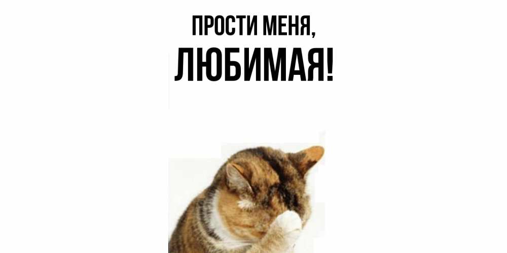 Открытка  для любимых и родных. Любимая, Прости меня  