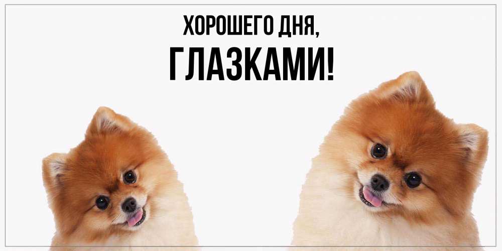 Открытка  для любимых и родных. глазками, Хорошего дня  