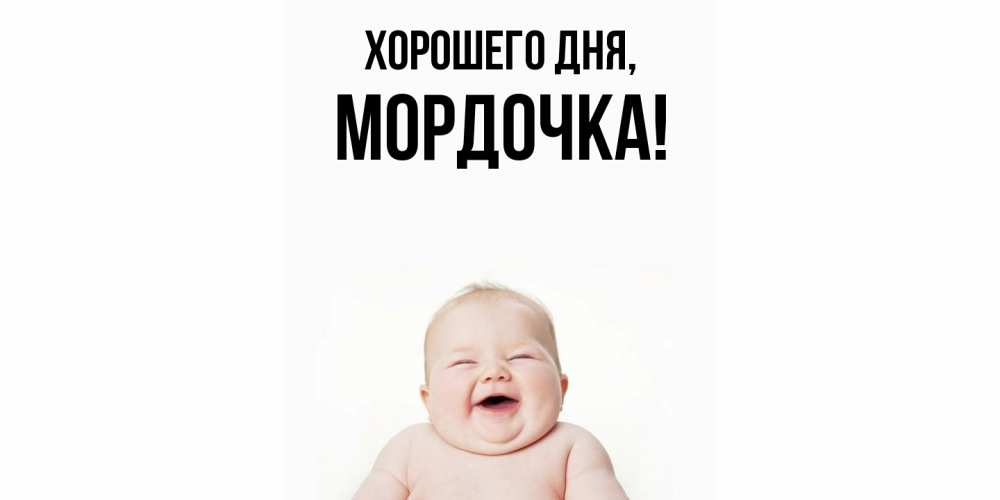 Открытка  для любимых и родных. мордочка, Хорошего дня  